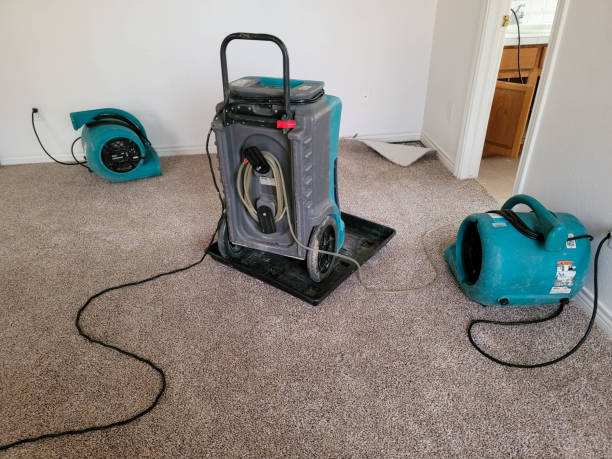 Best Professional water damage repair  in Pittsburg, KS