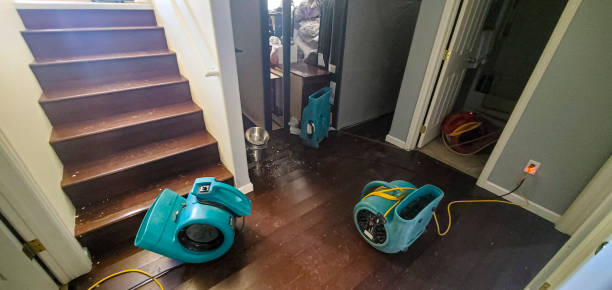 Reliable Pittsburg, KS Water damage restoration Solutions