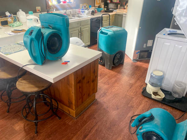 Best Fire Damage Restoration  in Pittsburg, KS