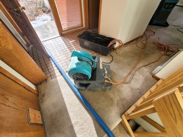 Best Flood restoration services  in Pittsburg, KS