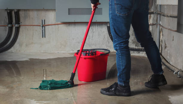 Best Water damage restoration near me  in Pittsburg, KS