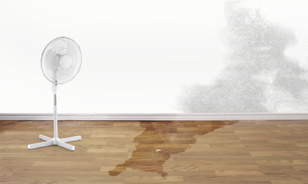  Pittsburg, KS Water damage restoration Pros