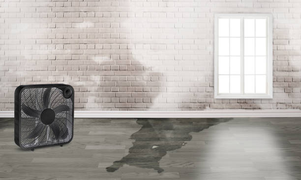 Best Water damage restoration near me  in Pittsburg, KS