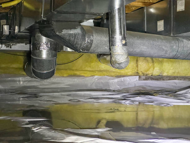 Best Water damage restoration insurance claims  in Pittsburg, KS