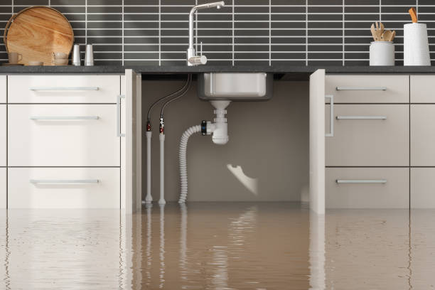 Best Flood damage cleanup  in Pittsburg, KS
