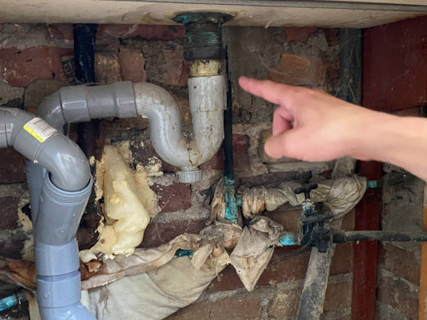 Best Local water damage restoration  in Pittsburg, KS